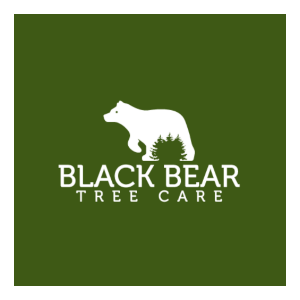 Black Bear Tree Care