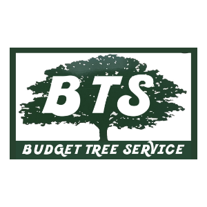 Budget Tree Service