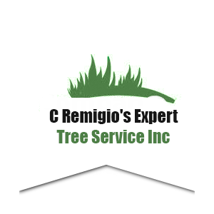 C Remigio_s Expert Tree Service, Inc.