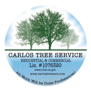 Carlos Tree Service