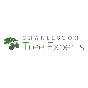 Charleston Tree Experts