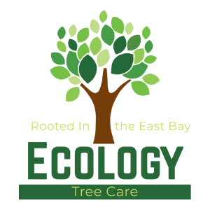 Ecology Tree Care