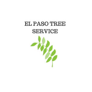 El Paso Tree Service