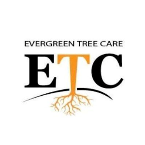 Evergreen Tree Care