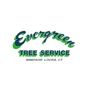 Evergreen Tree Service