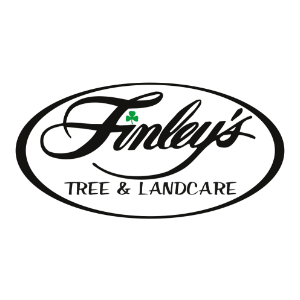 Finley_s Tree _ Landcare