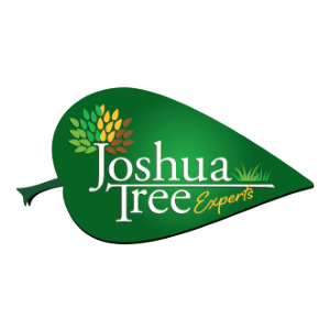 Joshua Tree Experts