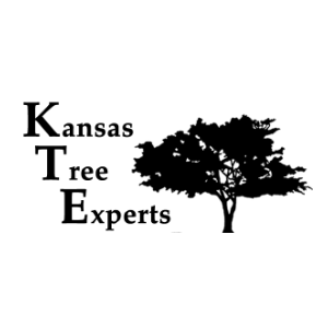 Kansas Tree Experts