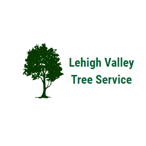 Lehigh Valley Tree Service