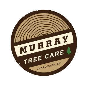 Murray Tree Care