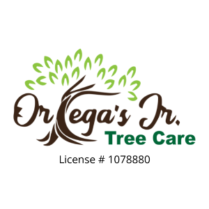 Ortega's Jr. Tree Care