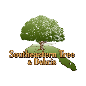 Southeastern Tree _ Debris