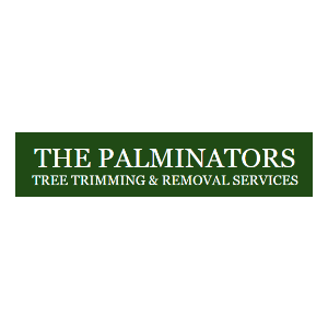 The Palminators Tree Trimming _ Removal Services