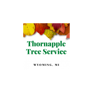 Thornapple Tree Service Wyoming