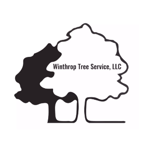 Winthrop Tree Service