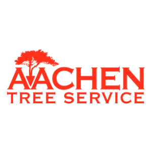 Aachen Tree Service