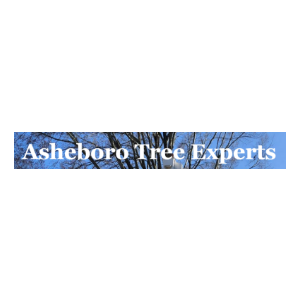 Asheboro Tree Experts