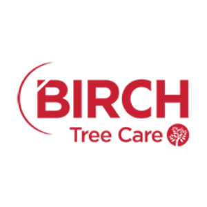 Birch Tree Care