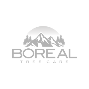 Boreal Tree Care