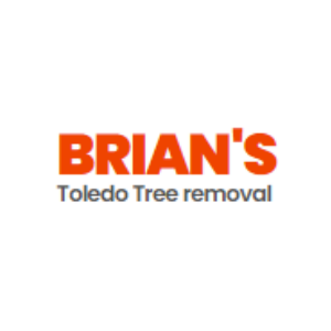 Brian_s Toledo Tree Removal