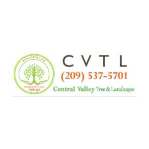 Central Valley Tree _ Landscape
