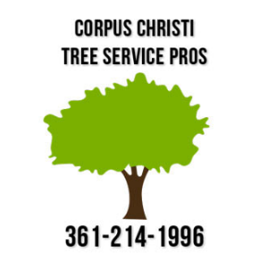 Corpus Christi Tree Service Pros