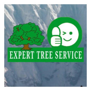 Expert Tree _ Yard Service LLC