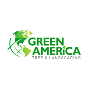 Green America Tree _ Landscaping