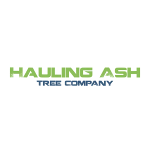 Hauling Ash Tree Company