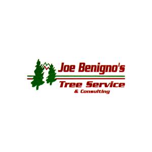 Joe Benigno_s Tree Service _ Consulting