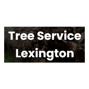 Lexington Tree Service Pros