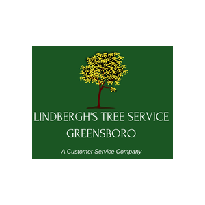 Lindbergh_s Tree Service Greensboro