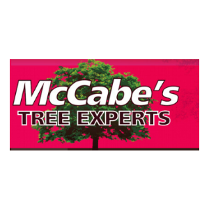 McCabe's Tree Experts