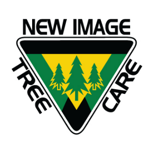 New Image Tree Care