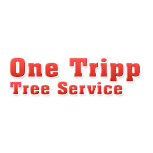 One Tripp Tree Service