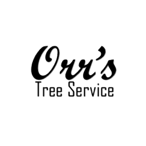 Orr_s Tree Service