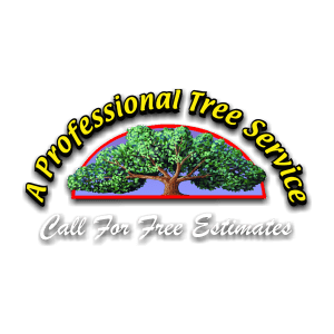 Professional Tree Service