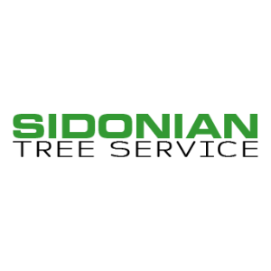Sidonian Tree Service