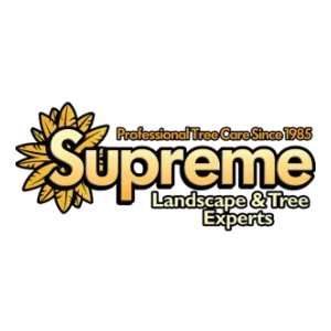 Supreme Tree _ Landscape Experts