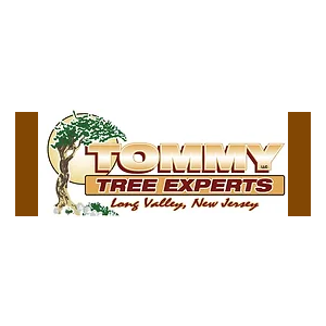 Tommy Tree Experts, LLC