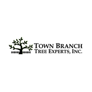 Town Branch Tree Experts Inc.