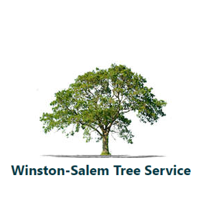 Winston-Salem Tree Service