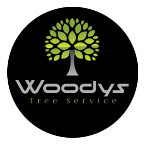 Woodys Tree Service