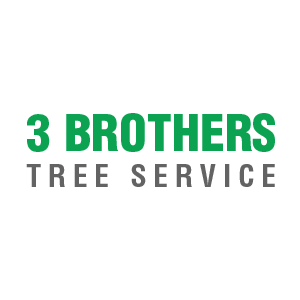 3 Brothers Tree Service