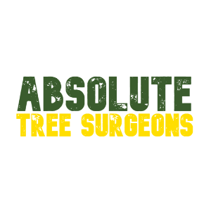 Absolute Tree Surgeons