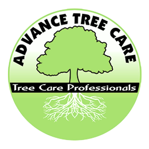 Advance Tree Care Corporation