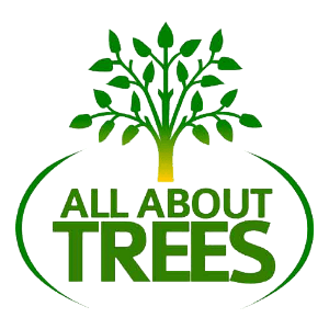 All About Trees
