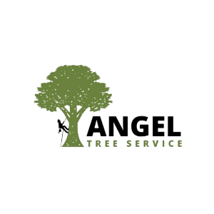 Angel Tree Service