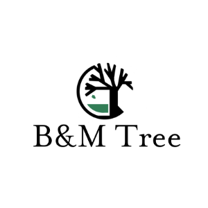 B_M Tree
