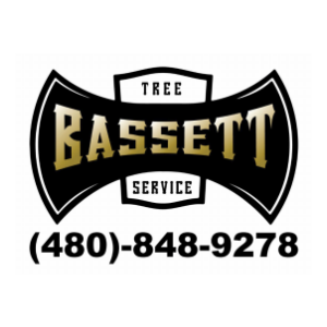 Bassett Tree Service